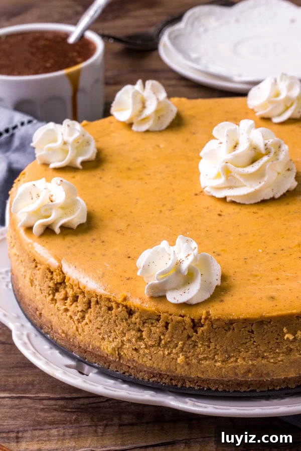 Pumpkin cheesecake recipe - learn all the tricks to making a smooth, creamy pumpkin spice cheesecake.