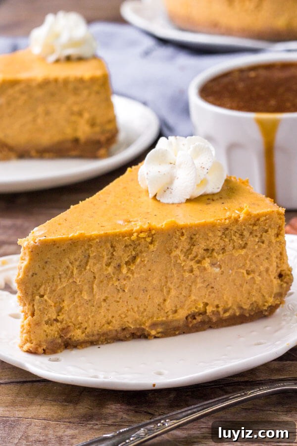 Creamy Pumpkin Cheesecake Recipe Perfect for Thanksgiving Dessert 4 A slice of pumpkin cheesecake topped with whipped cream.