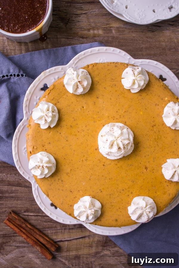Creamy Pumpkin Cheesecake Recipe Perfect for Thanksgiving Dessert 5 Pumpkin spice cheesecake with whipped cream and a sprinkle of cinnamon.