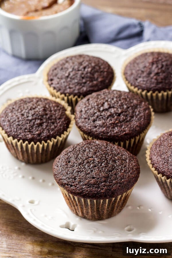 A plate of moist chocolate cupcakes. 