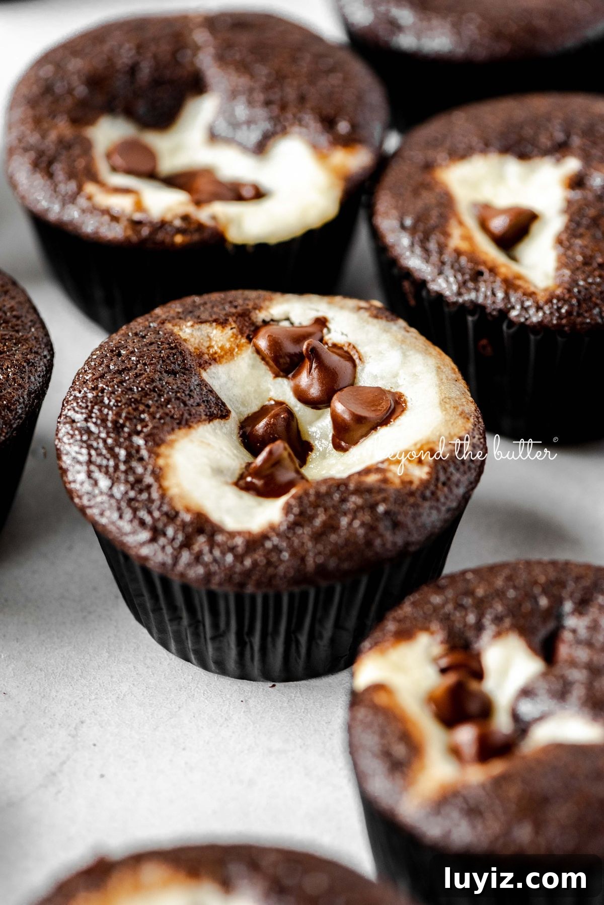 Decadent Black Bottom Cupcakes with Cream Cheese Swirl 2 Cream cheese filled chocolate cupcakes topped with semi-sweet chocolate chips randomly placed on a light gray background.