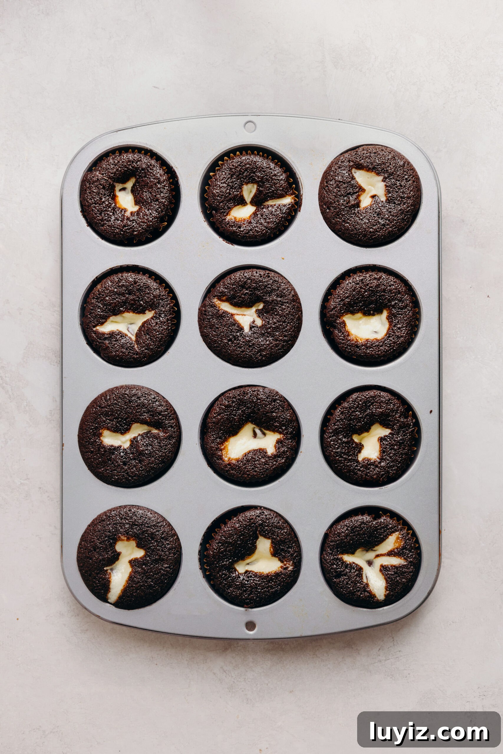 Decadent Black Bottom Cupcakes with Cream Cheese Swirl 12 Baked black bottom cupcakes in a metal cupcake tin on a white marbled background.
