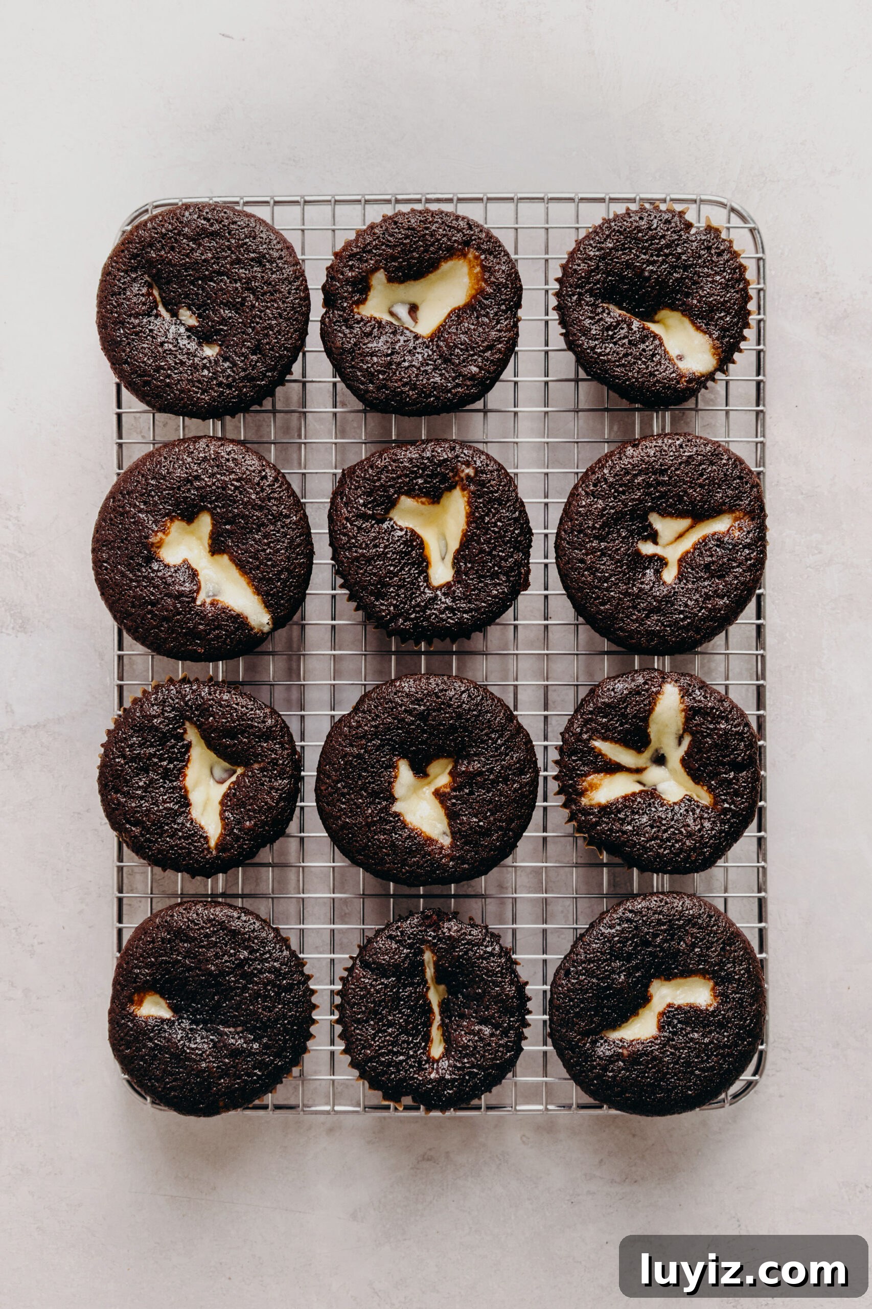 Decadent Black Bottom Cupcakes with Cream Cheese Swirl 13 Cooling chocolate chip cream cheese filled chocolate cupcakes on a wire cooling rack on a white marbled background.