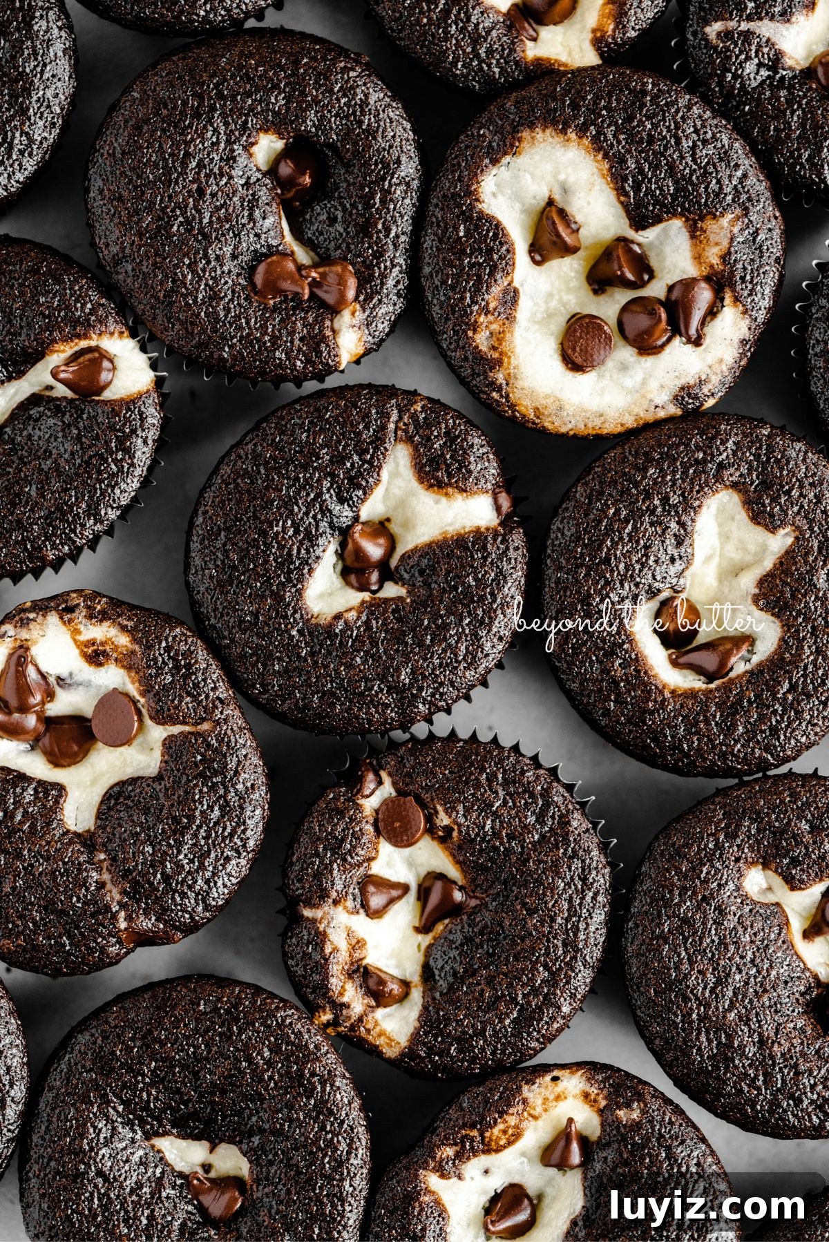 Decadent Black Bottom Cupcakes with Cream Cheese Swirl 14 Cream cheese filled chocolate cupcakes topped with semi-sweet chocolate chips placed tightly together on a light gray background.
