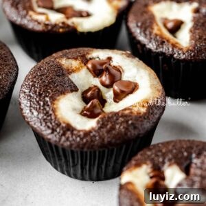 Decadent Black Bottom Cupcakes with Cream Cheese Swirl 19 Cream cheese filled chocolate cupcakes topped with semi-sweet chocolate chips randomly placed on a light gray background.