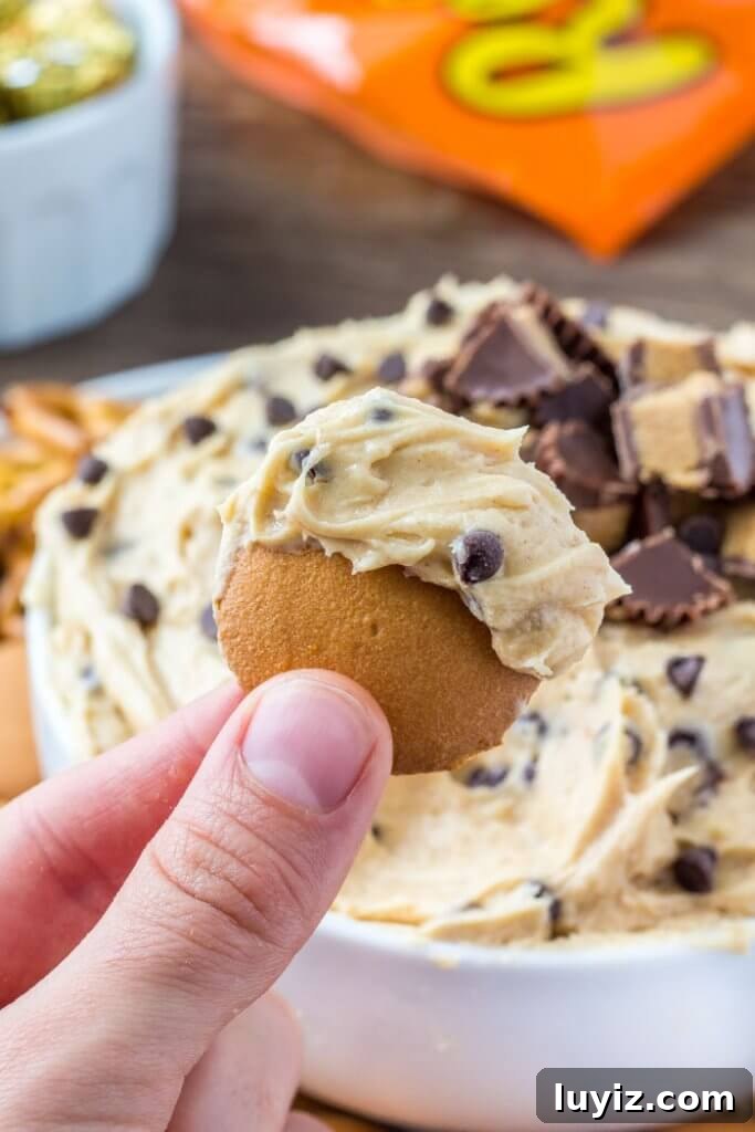 Creamy Peanut Butter Cheesecake Dip Recipe for Parties 3 A bowl of creamy peanut butter cheesecake dip served with cookies and pretzels