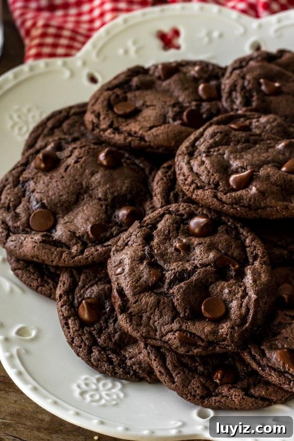Chocolate Cake Mix Cookies Recipe — Soft, Fudgy Cookies in Minutes 20 Chocolate Cake Mix Cookies are soft, chewy, and a little fudgy. The recipe only requires 4 ingredients, so it's the perfect easy chocolate cookie recipe for whenever the craving hits.