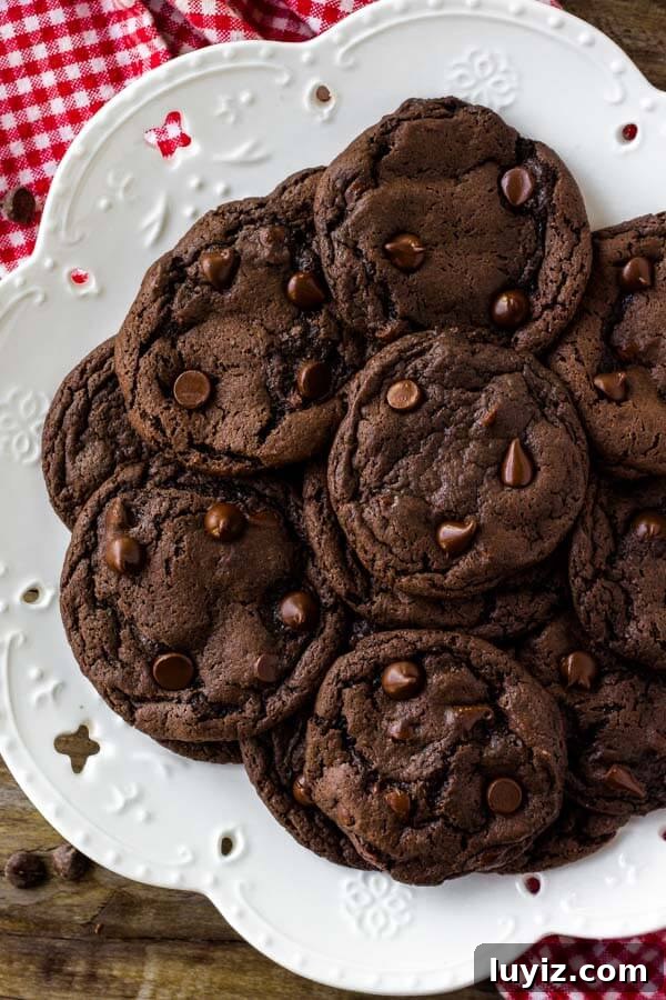 Chocolate Cake Mix Cookies Recipe — Soft, Fudgy Cookies in Minutes 4 A plate of cake mix chocolate cookies with chocolate chips.