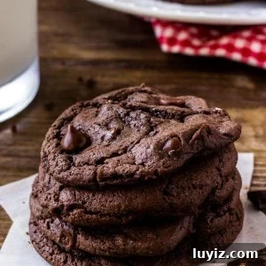 Chocolate Cake Mix Cookies Recipe — Soft, Fudgy Cookies in Minutes 5 Chocolate Cake Mix Cookies are soft and chewy with a delicious chocolate flavor