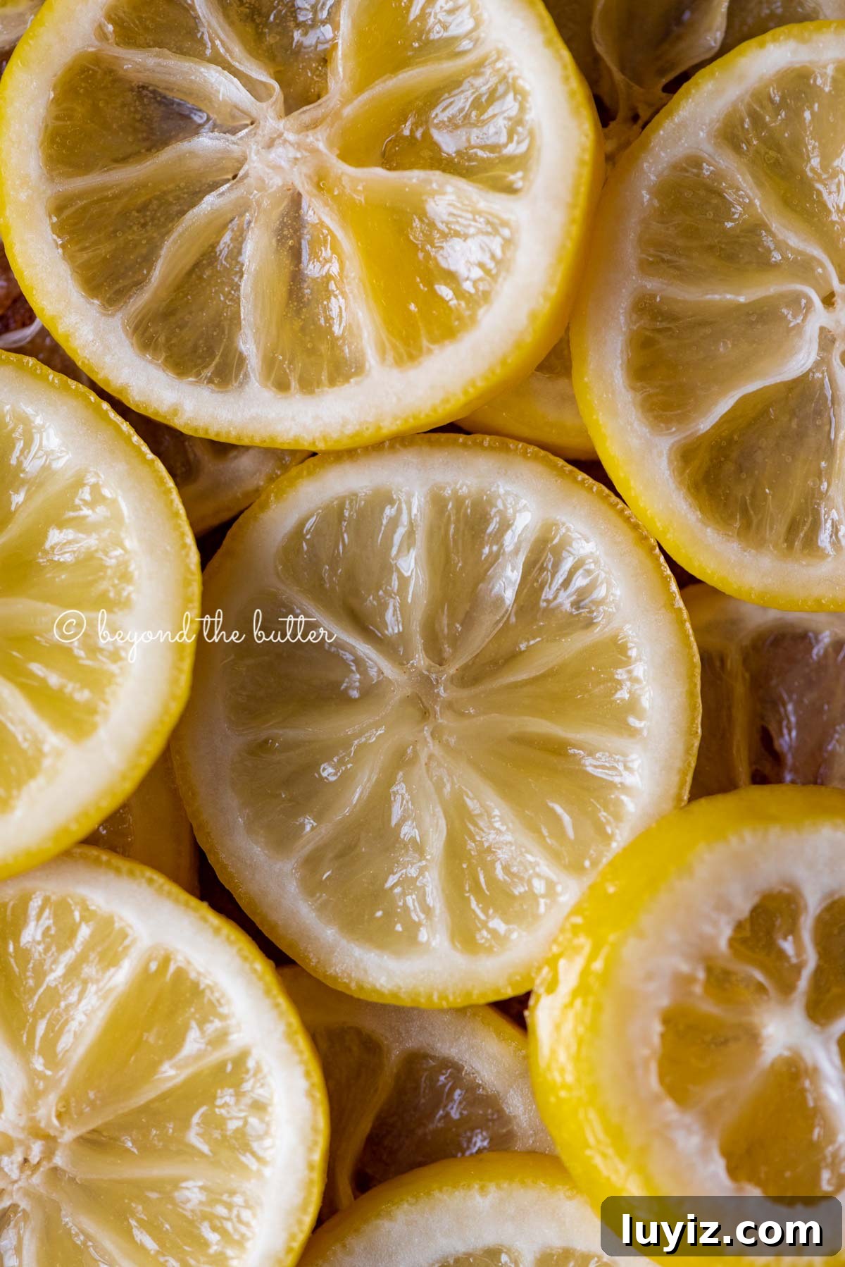 Classic Lemon Sponge Pie Recipe — Light, Zesty Dessert 5 Close up of candied lemon slices | All Images © Beyond the Butter®