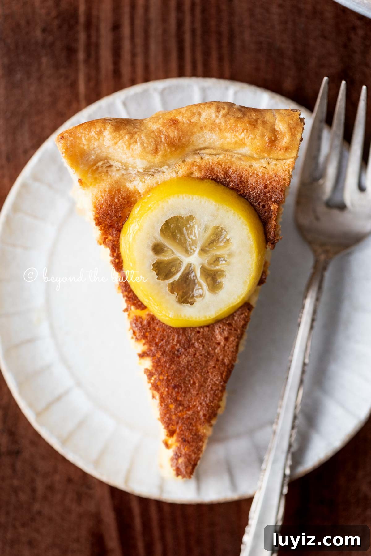 Classic Lemon Sponge Pie Recipe — Light, Zesty Dessert 9 Silce of lemon sponge pie garnished with candied lemon slice | All Images © Beyond the Butter®
