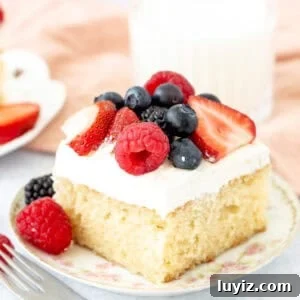 Slice of vanilla sheet cake with whipped cream and berries