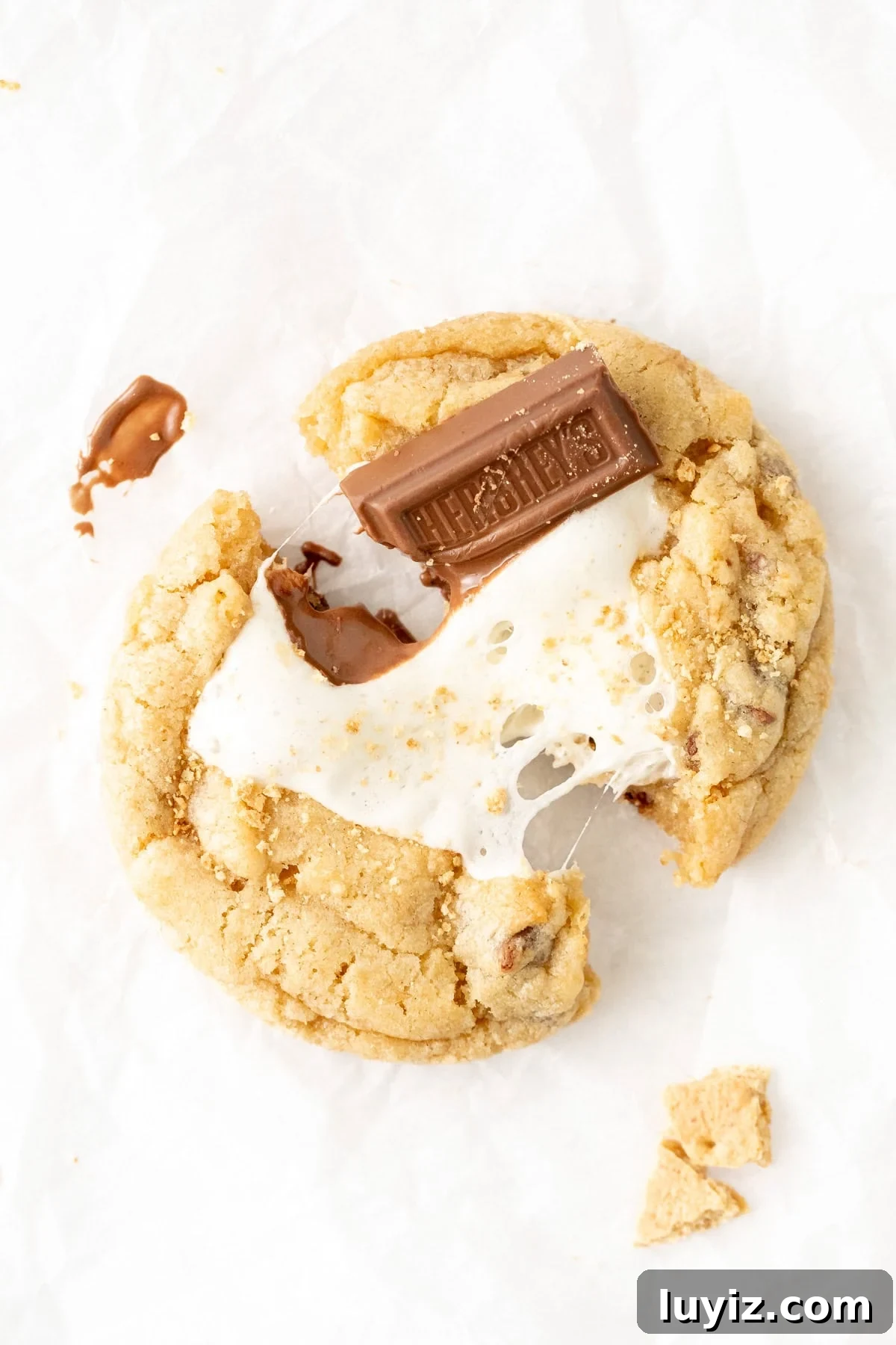 S'mores cookie broken in half