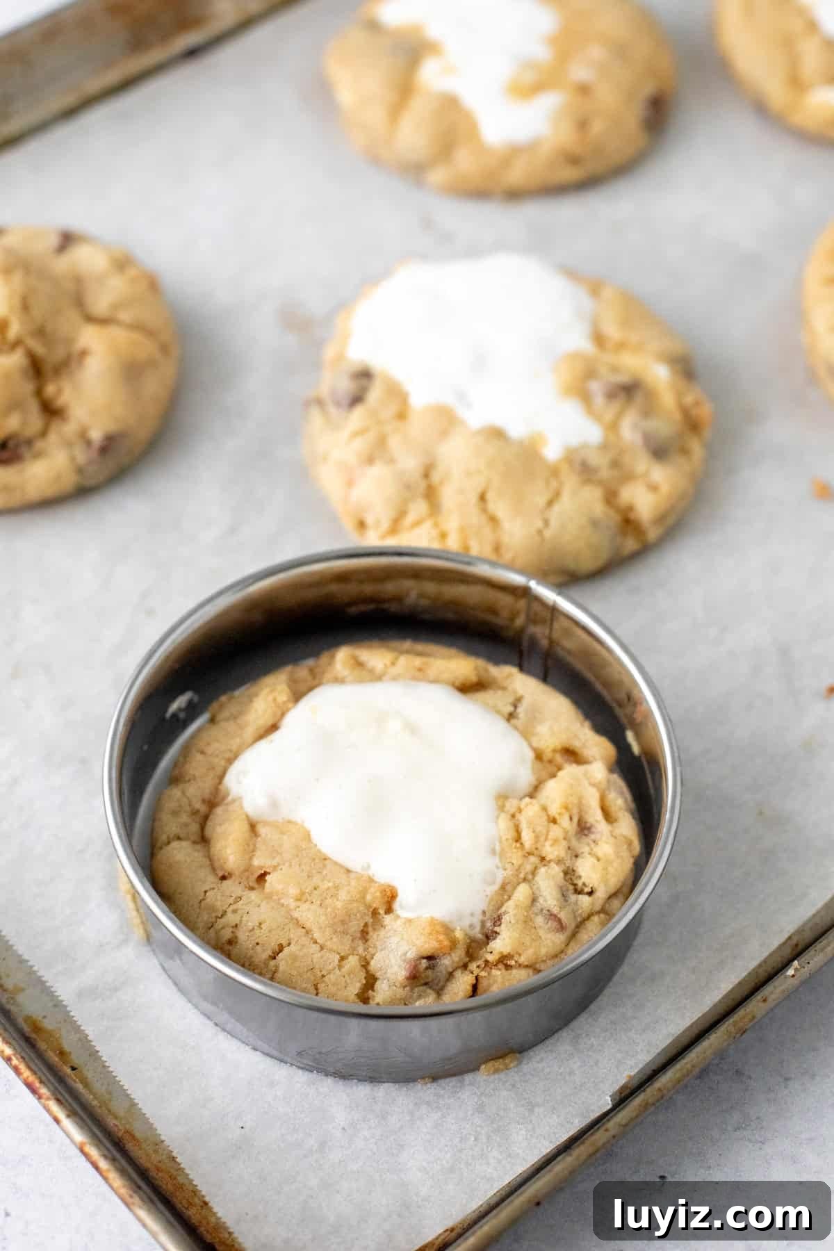 S'mores cookies on a cookie sheet with a round cookie cutter around the cookie.
