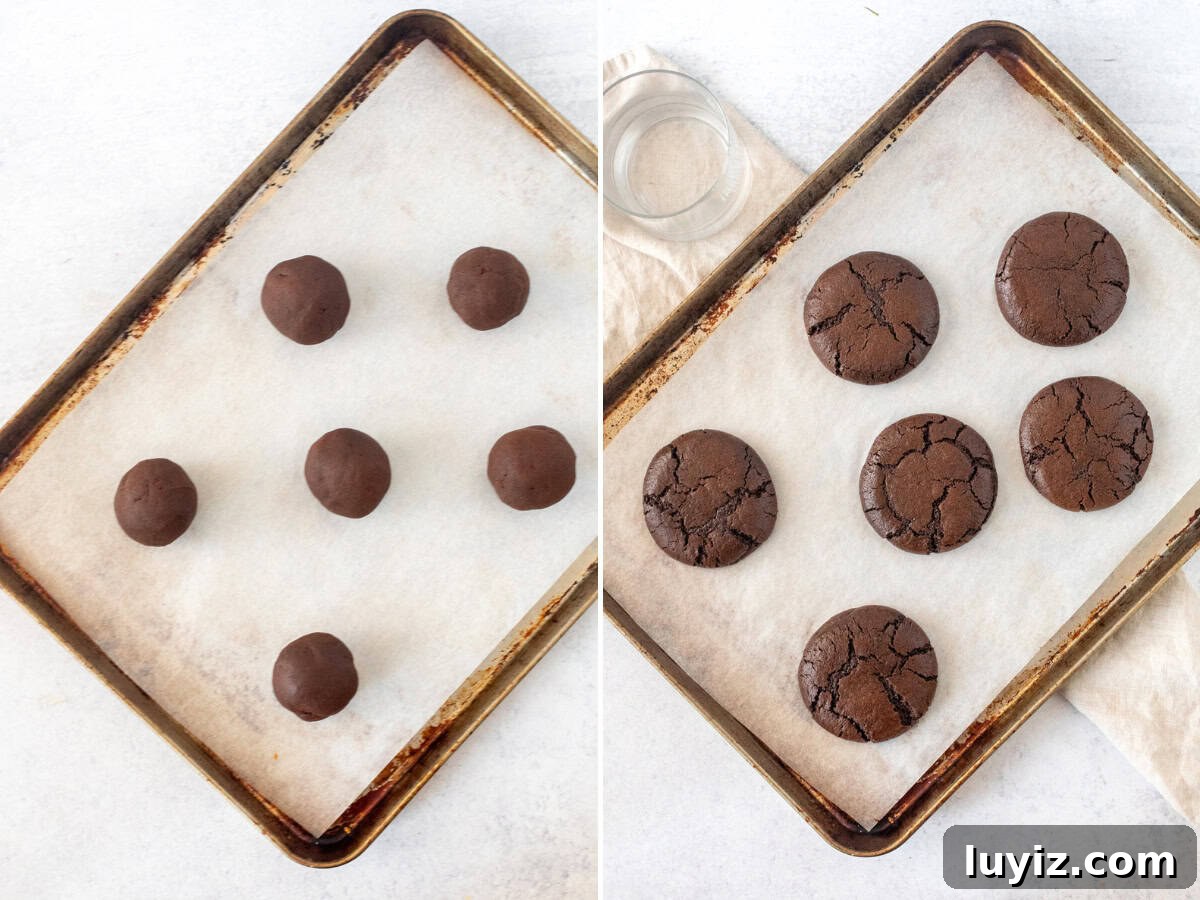 Black Forest Cherry Chocolate Cookies Recipe 4 Chocolate cookie dough balls on a lined cookie sheet, and baked chocolate cookies on a lined cookie sheet