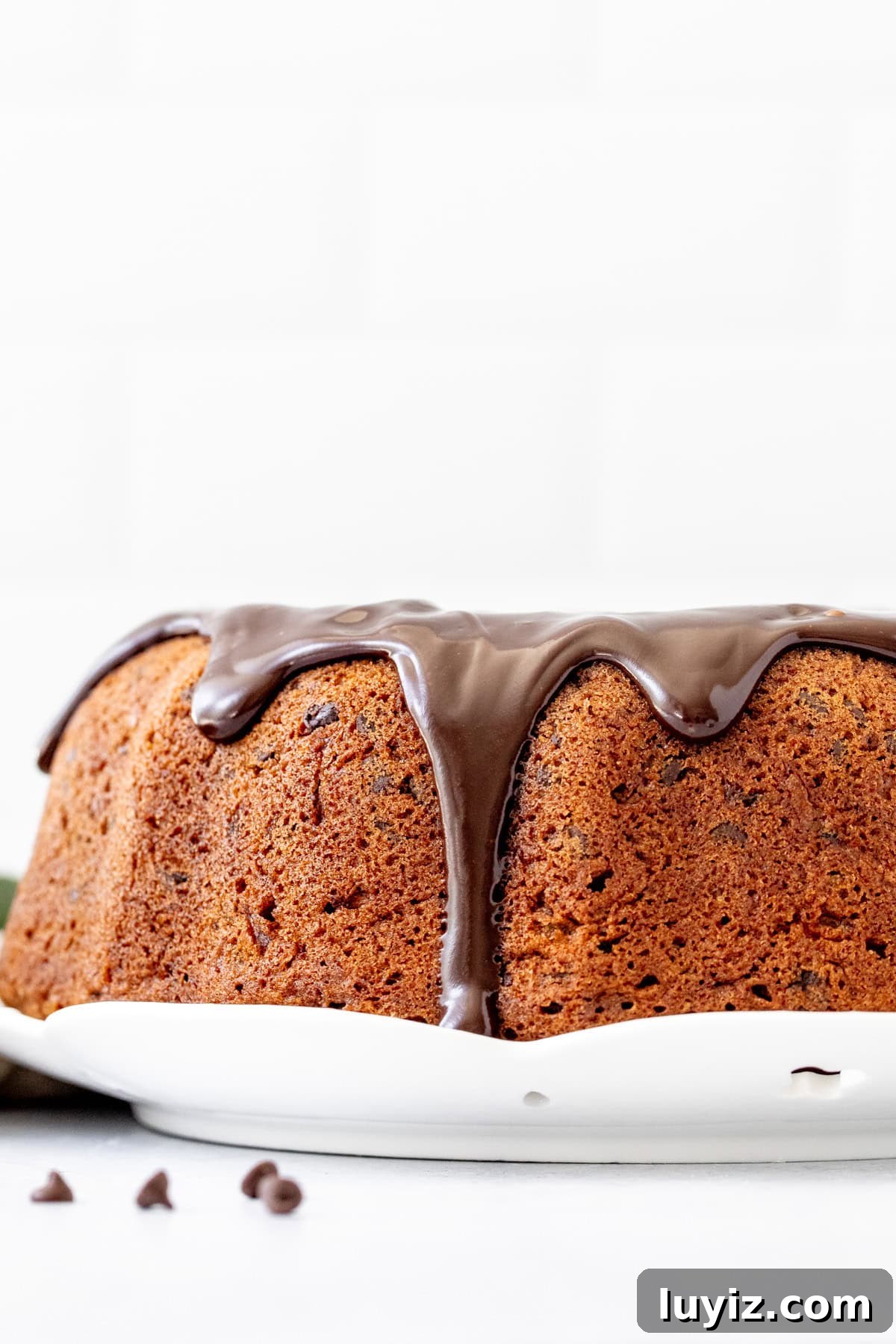 Moist Chocolate Chip Zucchini Cake Recipe 5 zucchini bundt cake with chocolate ganache drizzled over the top