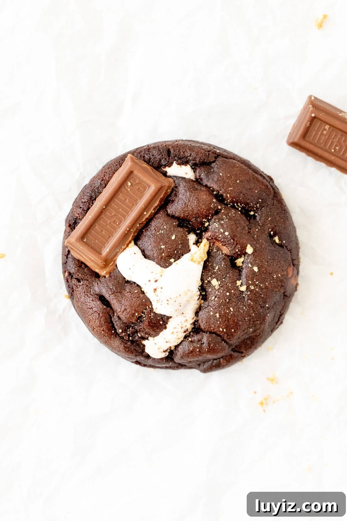 Gooey S'mores Chocolate Cookies Recipe 2 chocolate s'more cookie topped with Hershey's milk chocolate and graham crumbs