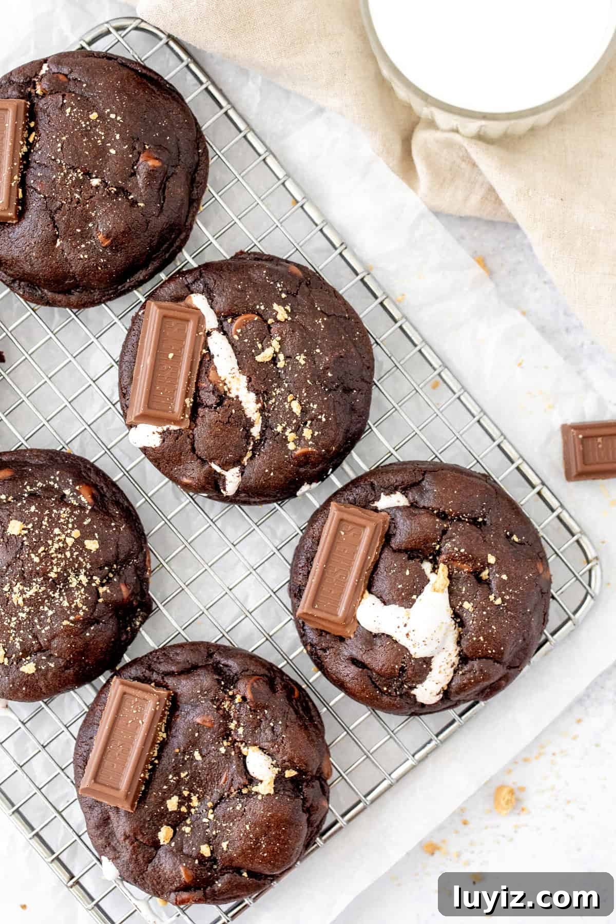 Gooey S'mores Chocolate Cookies Recipe 5 s'mores chocolate cookies on a wire cooling rack