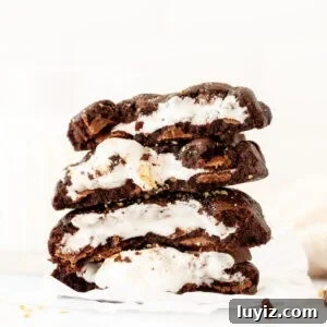 Stack of chocolate s'mores cookies, broken in half