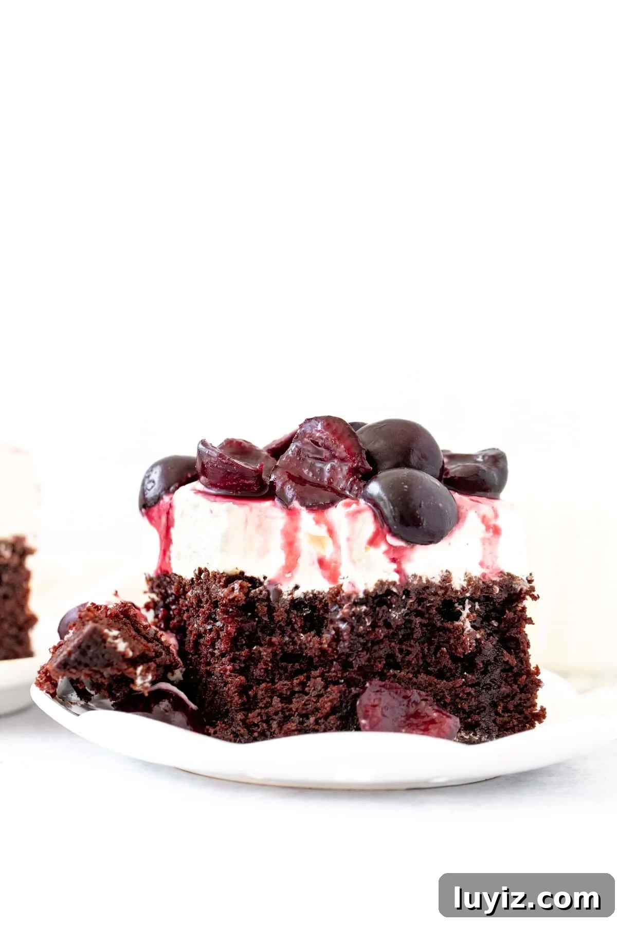 Slice of fudgy black forest cake with a bite taken out