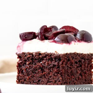 Slice of black forest sheet cake