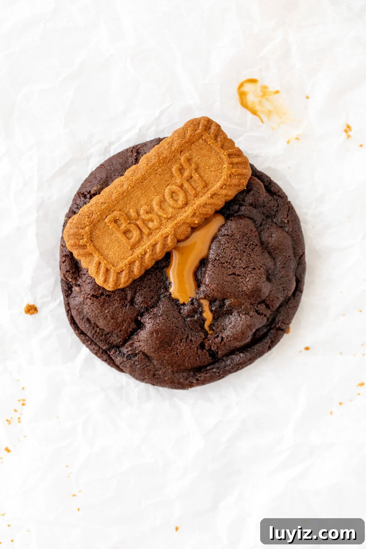 Biscoff chocolate cookie topped with a Lotus Biscoff cookie