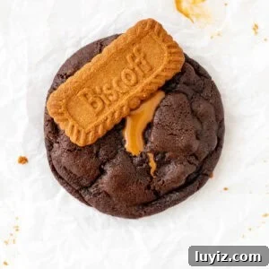 biscoff chocolate cookie topped with a Lotus cookie