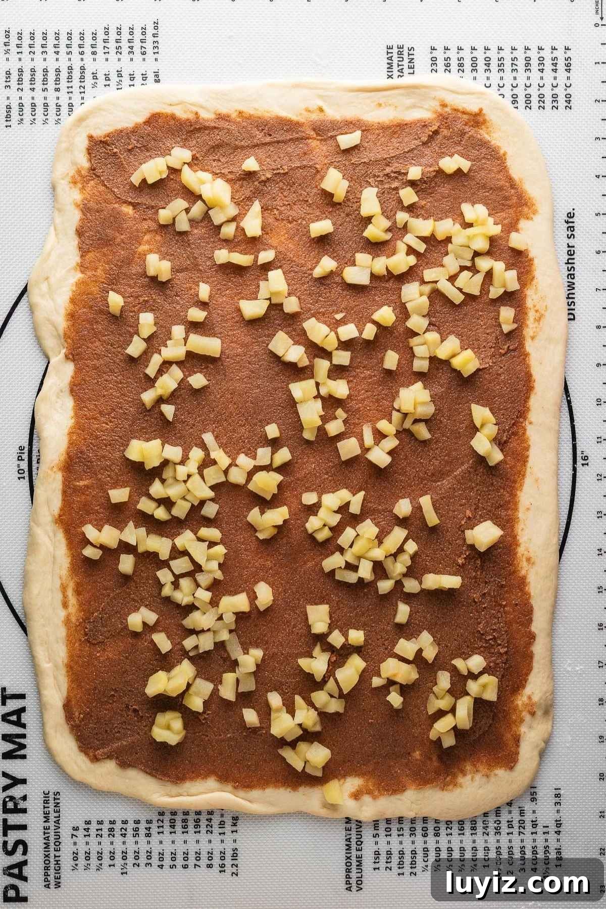 Filling and apples spread over rolled out dough.