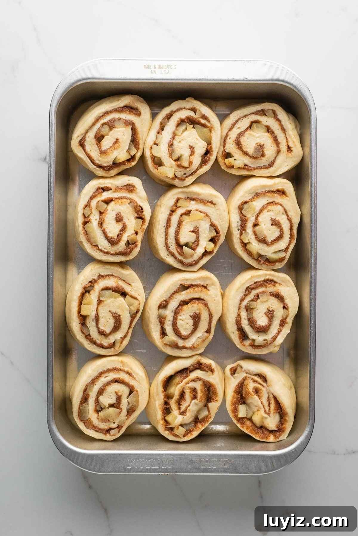 Sliced apple cinnamon rolls placed in a pan.