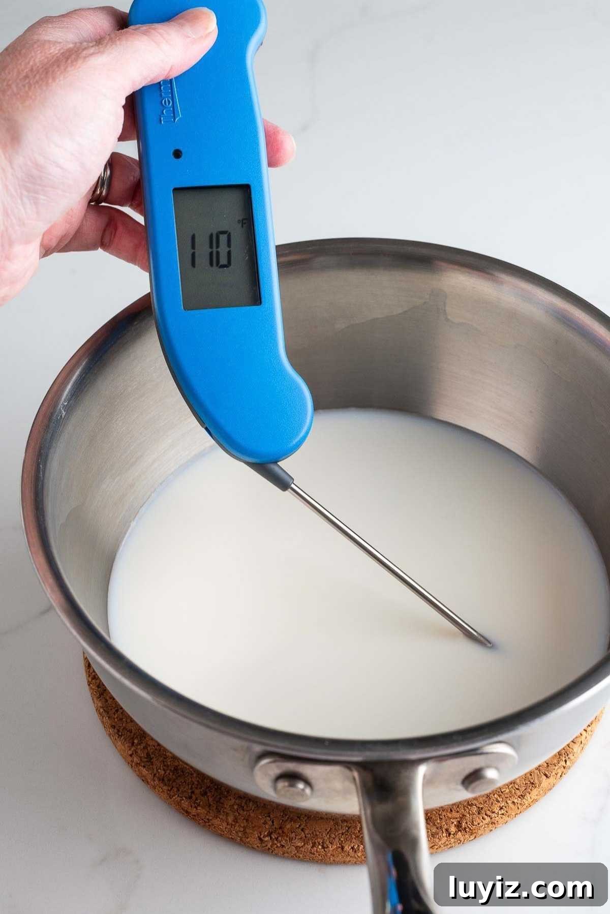 Warmed milk and water in a saucepan with a thermometer.